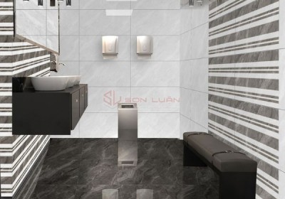 Gạch Ốp Lát APODIO 48825-48925-48825D